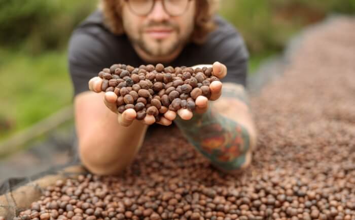 コーヒー豆をすくい上げる男性